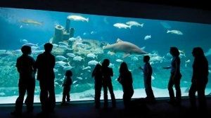 homeschool activities in nc outer banks beach house